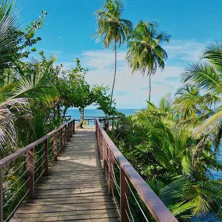 Oso Perezoso Pool Villa Puerto Viejo de Talamanca Bagian luar foto