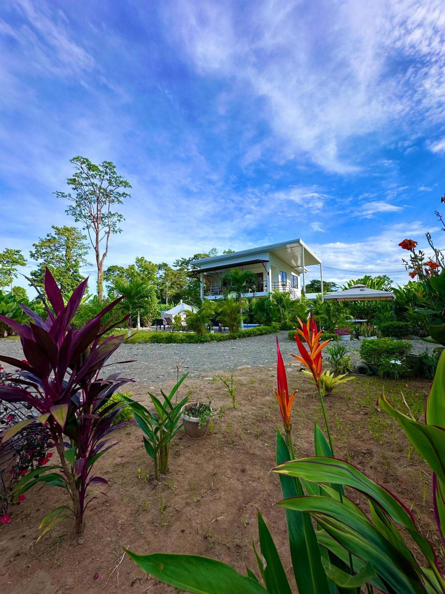 Oso Perezoso Pool Villa Puerto Viejo de Talamanca Bagian luar foto