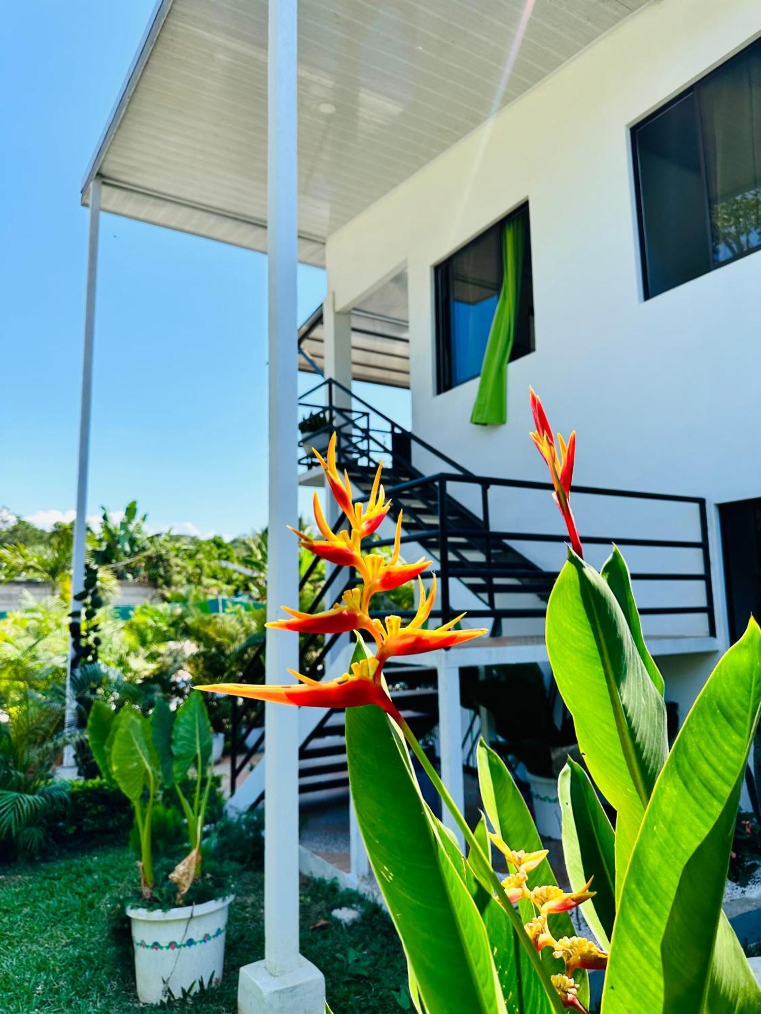 Oso Perezoso Pool Villa Puerto Viejo de Talamanca Bagian luar foto
