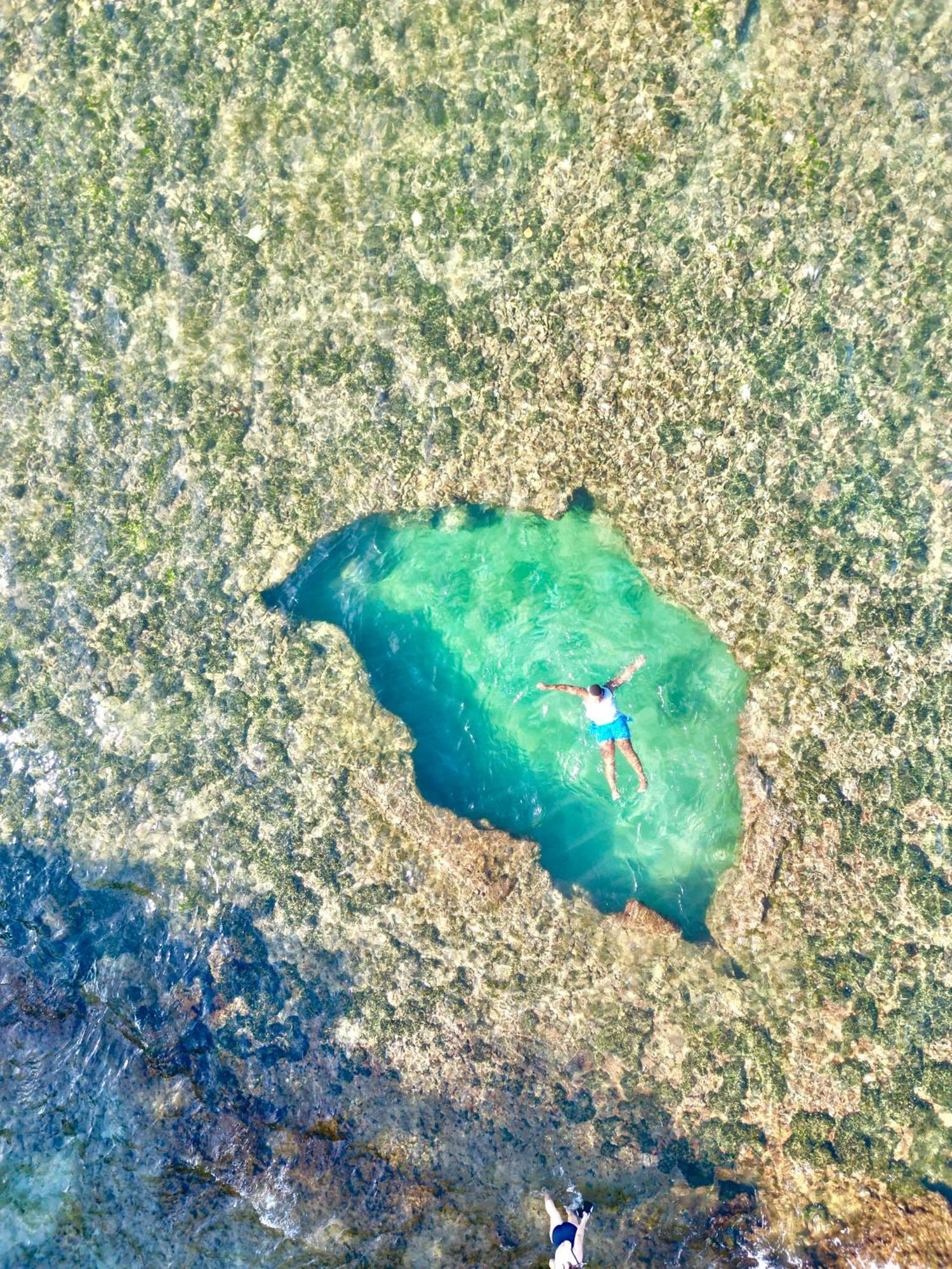 Oso Perezoso Pool Villa Puerto Viejo de Talamanca Bagian luar foto