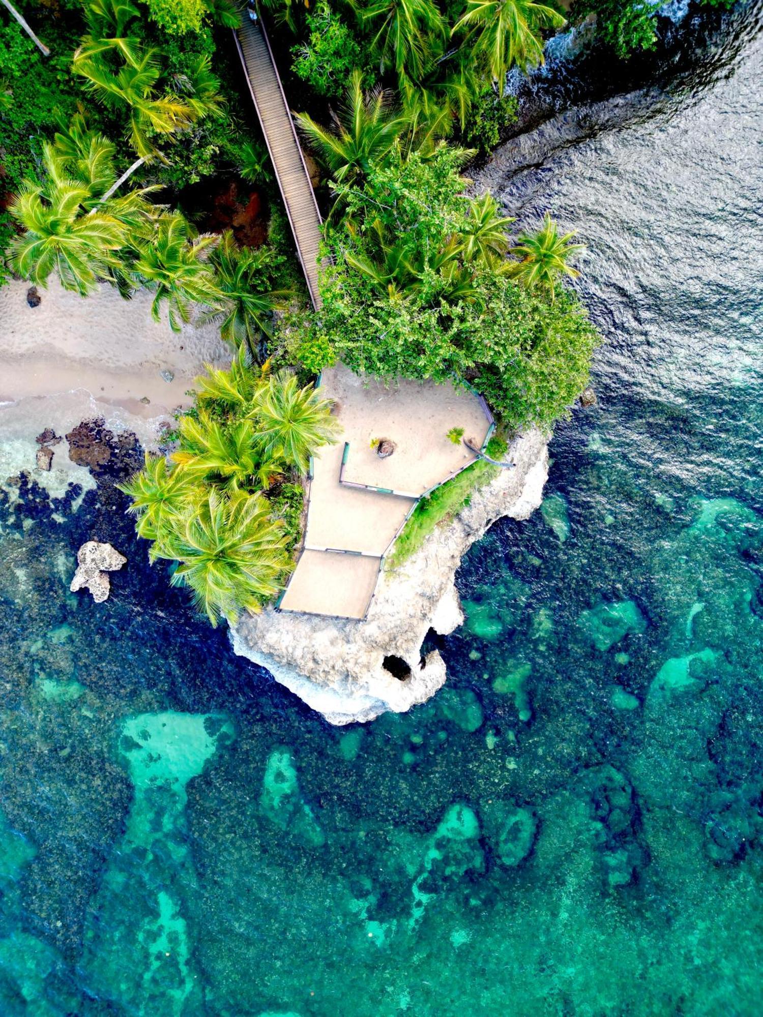 Oso Perezoso Pool Villa Puerto Viejo de Talamanca Bagian luar foto