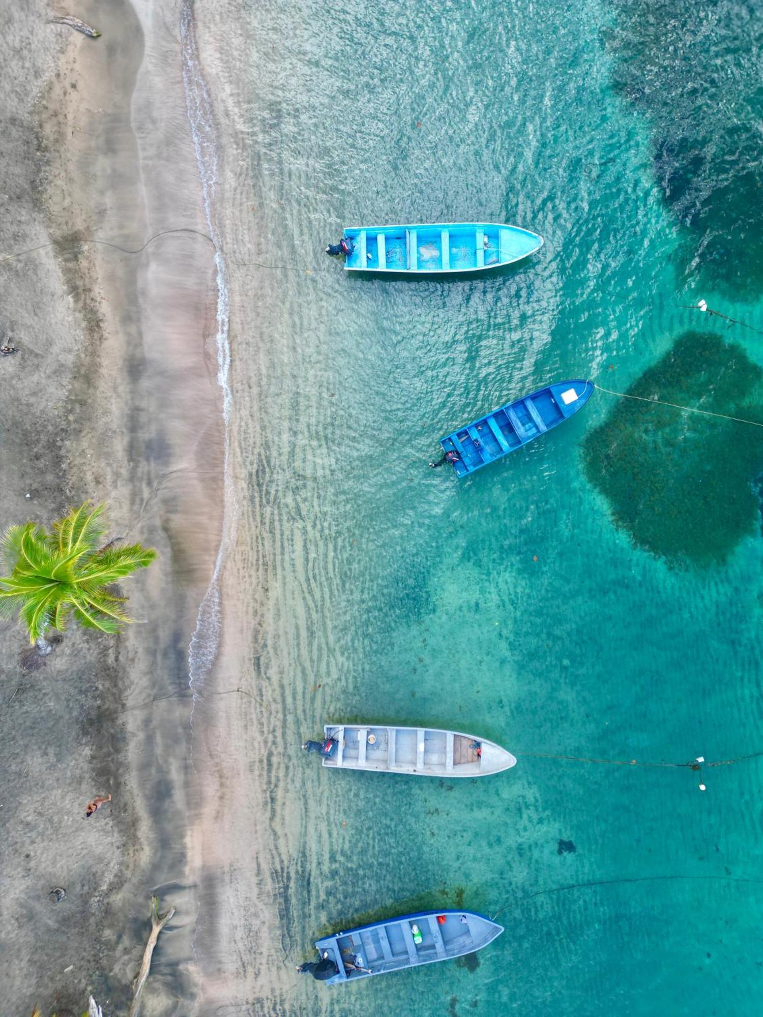 Oso Perezoso Pool Villa Puerto Viejo de Talamanca Bagian luar foto
